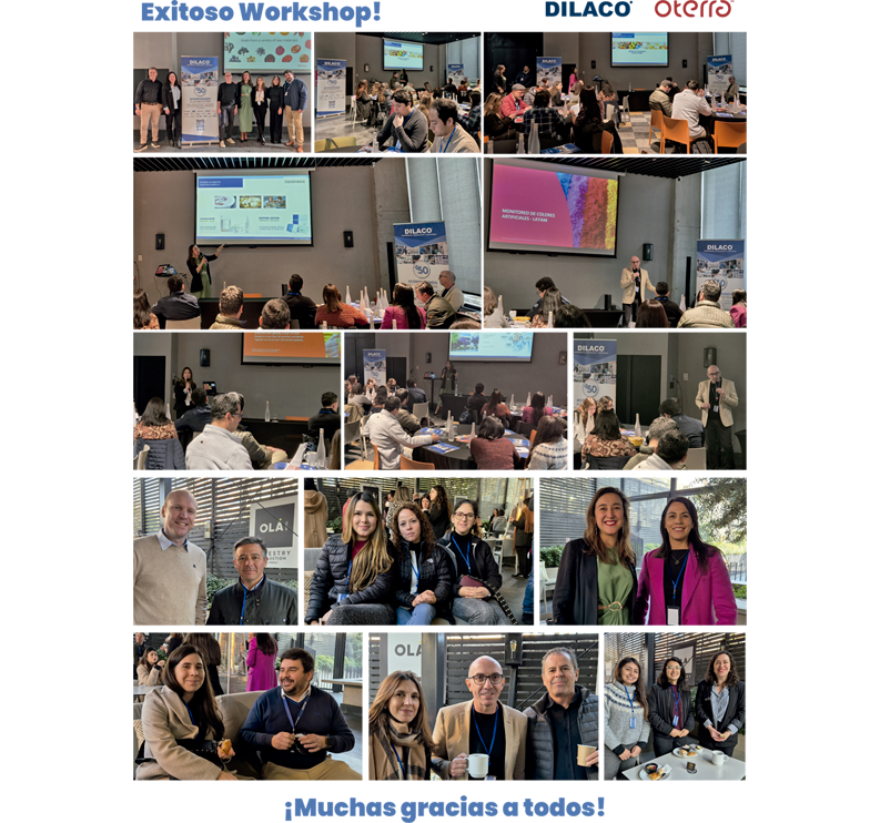 Workshop División Alimentos